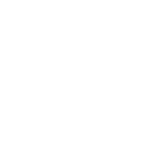 Trottinettes Électriques